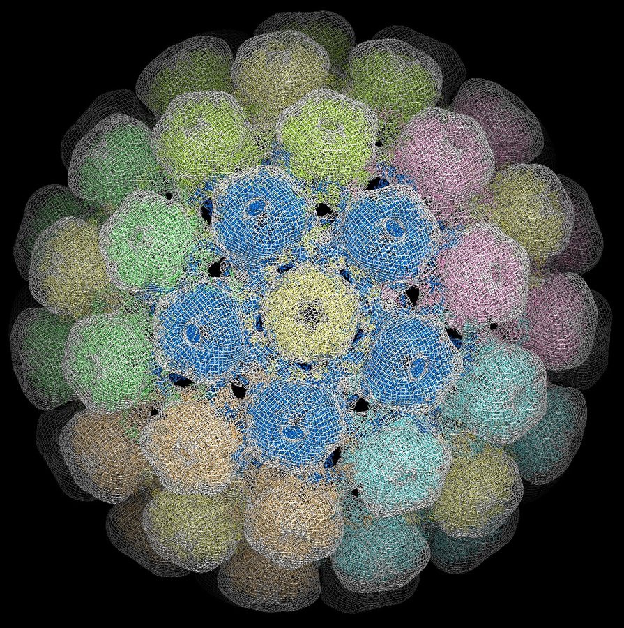 Das Polyomavirus verursacht Tumoren in diversen Organismen, auch im Menschen. Durch die Kryo-Elektronenmikroskopie konnte die Struktur eines Polyomavirus-Partikels aufgeklärt und mithilfe tausender Einzelpartikelbilder rekonstruiert werden.