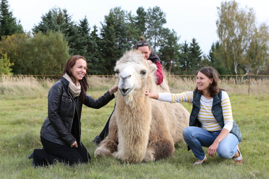 Pamela Holzlöhner (links) und Katja Hanack (rechts) auf der Kamelfarm von Gabriele Heidicke in Nassenheide. (Foto: BMBF/Unternehmen Region/Thilo Schoch)
