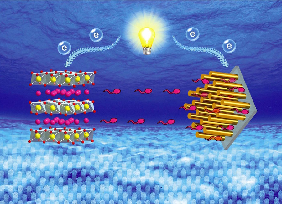 Aus Ilmenau stammen neue Natrium-Ionen-Akkus (rechts im Bild), die länger Strom liefern und schneller aufgeladen werden als herkömmliche Akkus. (Foto: Prof. Dr. Yong Lei, TU Ilmenau)