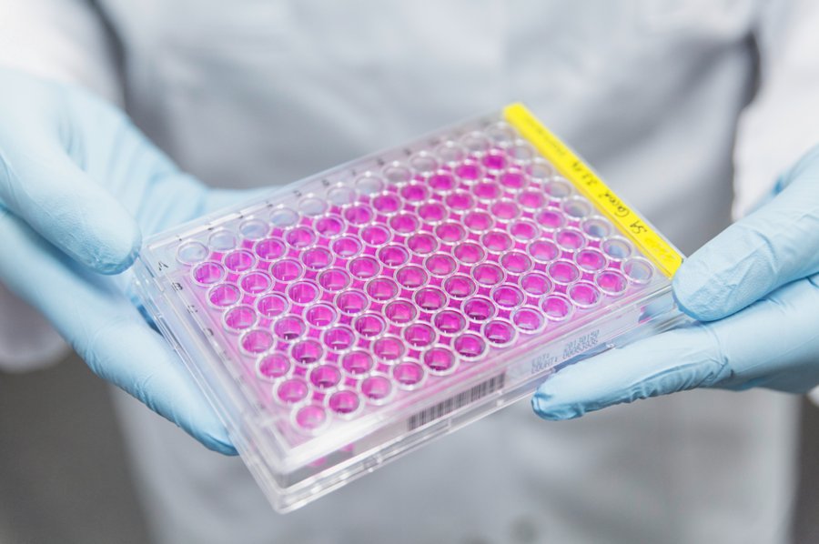Wirkstoffe mit großem Potential will das Konsortium InfectControl 2020 zu neuen Medikamenten, insbesondere Antibiotika, weiterentwickeln. (Foto: HKI Jena)