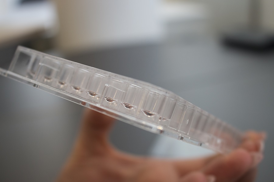 Hydrogelschicht + Mikropartikel