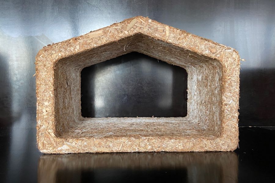 Im Rahmen eines Plant³-Projektes wird ein Prototyp des weltweit ersten Gebäudes entwickelt, das ausschließlich aus Baustoffen aus Rohrkolben besteht.