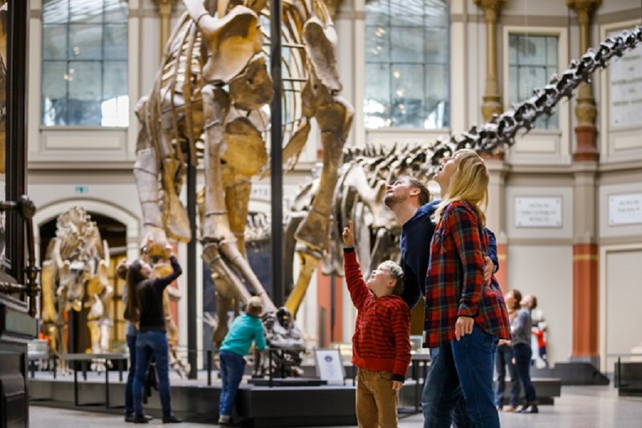 Besuchergruppe im Naturkundemuseum