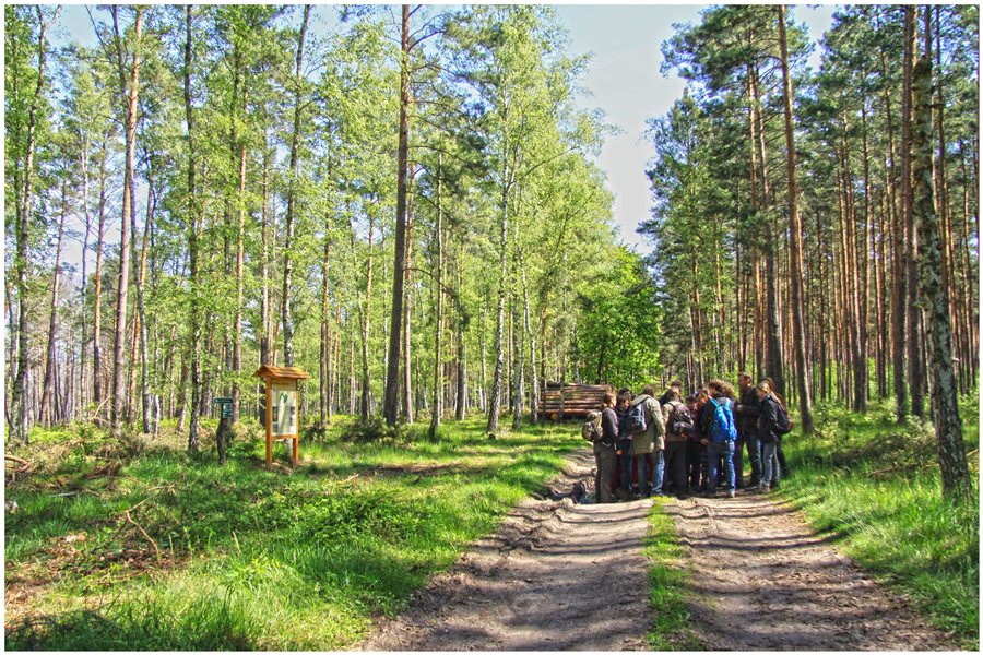 Eine Menschengruppe steht im Wald.