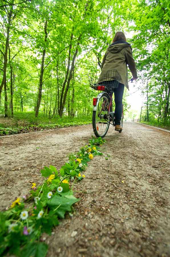 Radfahrer im Wald
