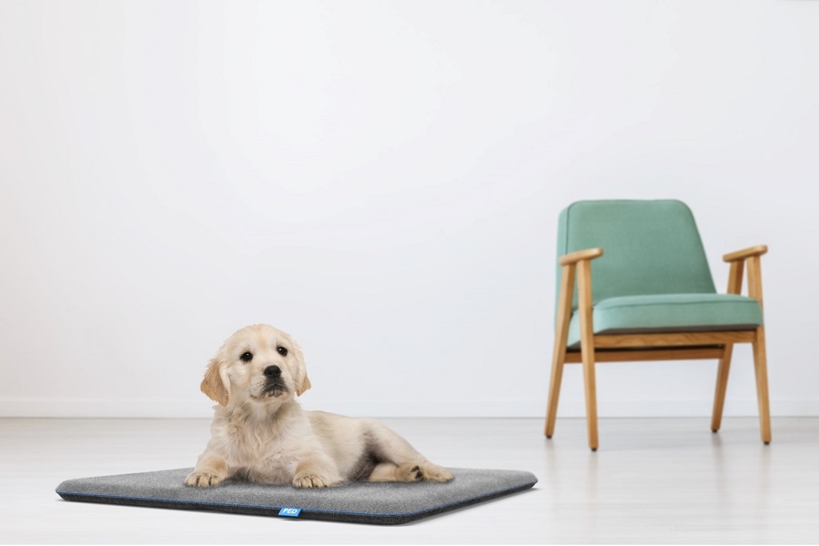 futureTEX Hundematte