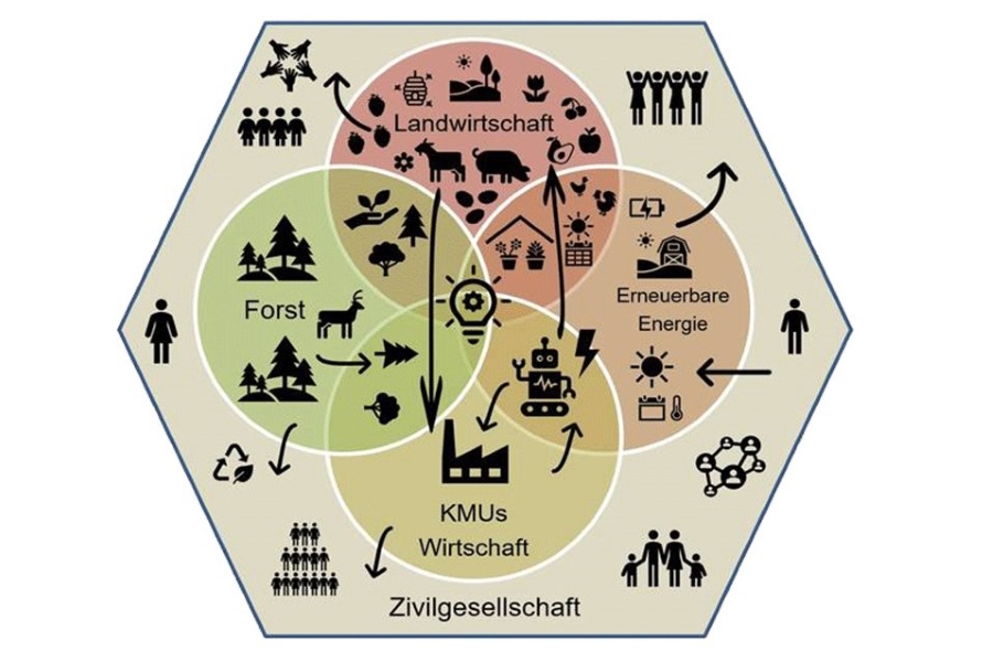 Überblicksgrafik
