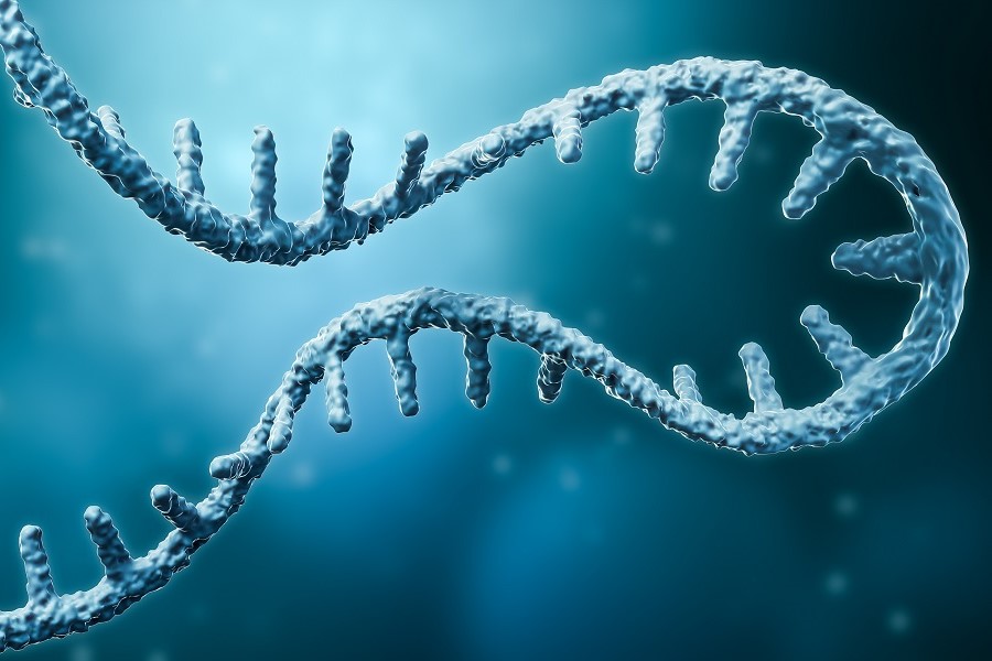 3D-Visualisierung der RNA
